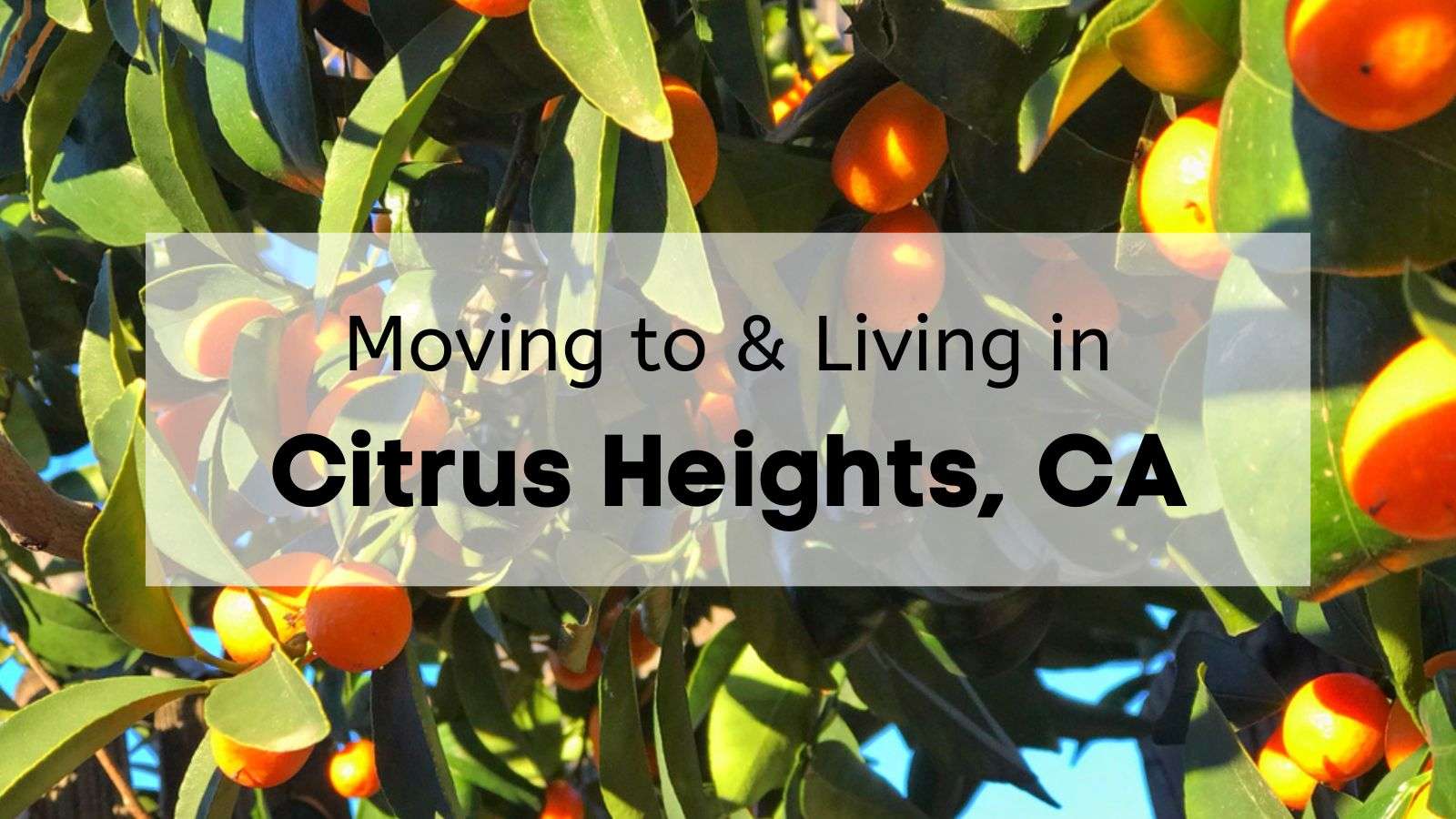 Delve into the heart of Citrus Heights: Discover its history and geographical charm.