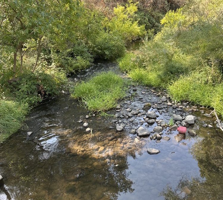 Exploring Miner’s Ravine: A Hidden Gem for Bikers and Walkers in Roseville