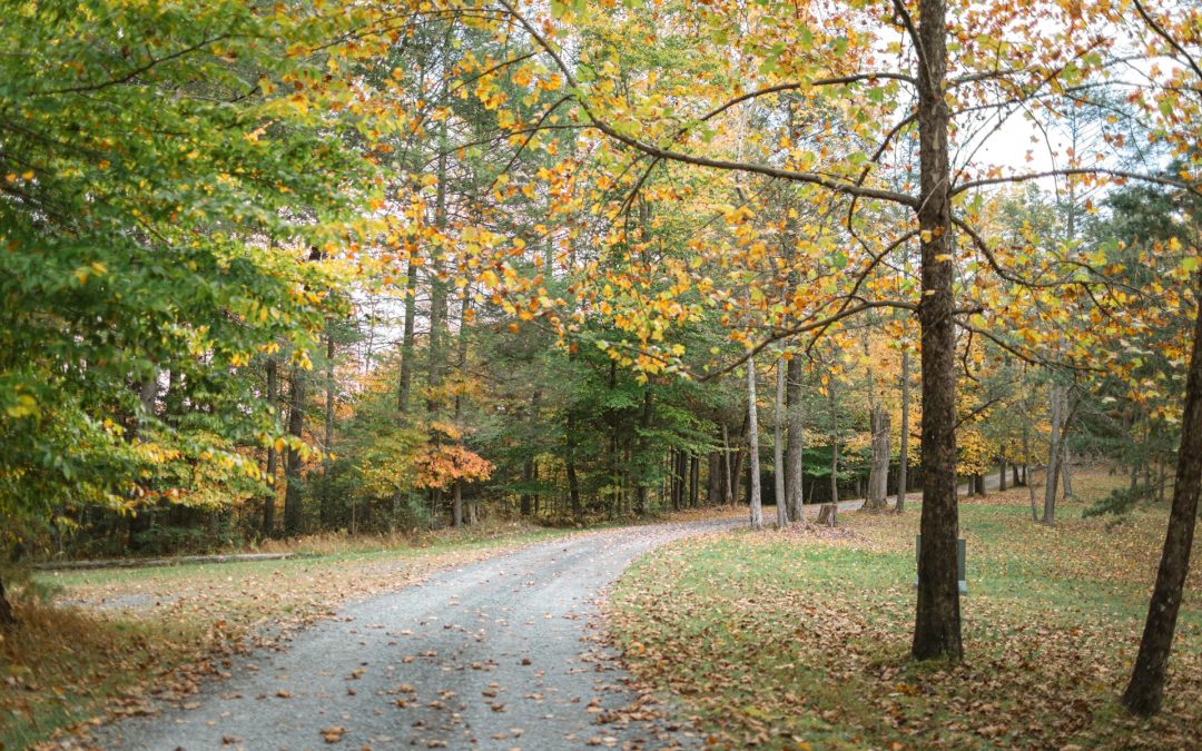 Fall in Citrus Heights: A Colorful Adventure on the Arcade Cripple Creek Trail