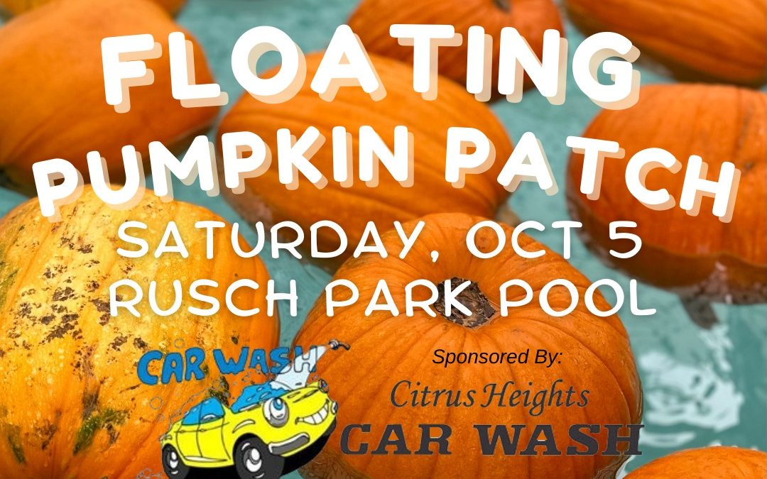 Splash Into Fall: Floating Pumpkin Patch at Rusch Park Pool