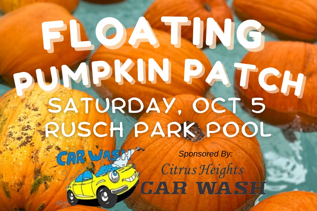 Splash into Fall: Floating Pumpkin Patch at Rusch Park Pool