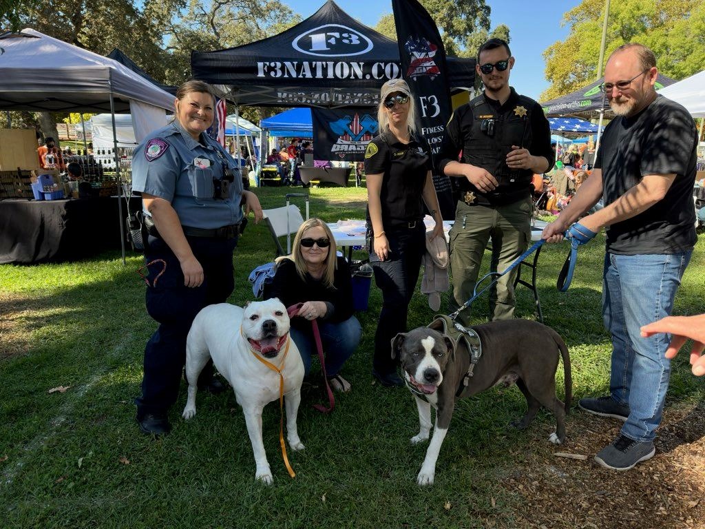 24/7 Animal Services Now Available in Citrus Heights via 311 Connect