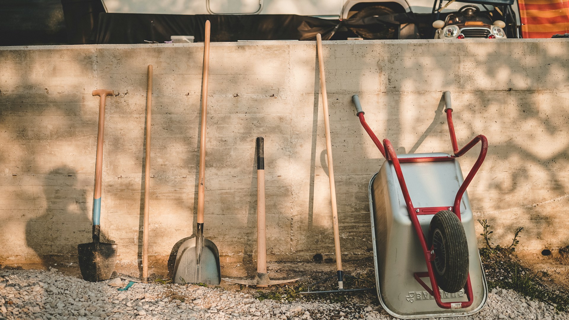 Spring Garden Goals: Transform Your Yard in Citrus Heights in 7 Days