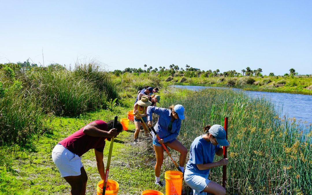 The Power of Unity: Exploring the Connections Formed on the Big Day of Service