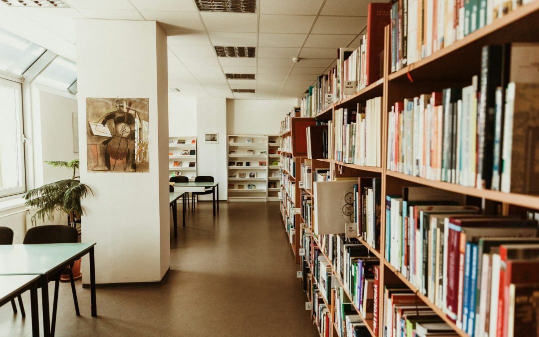 Half Price Books in Citrus Heights: Your Cozy Spot for Books and More