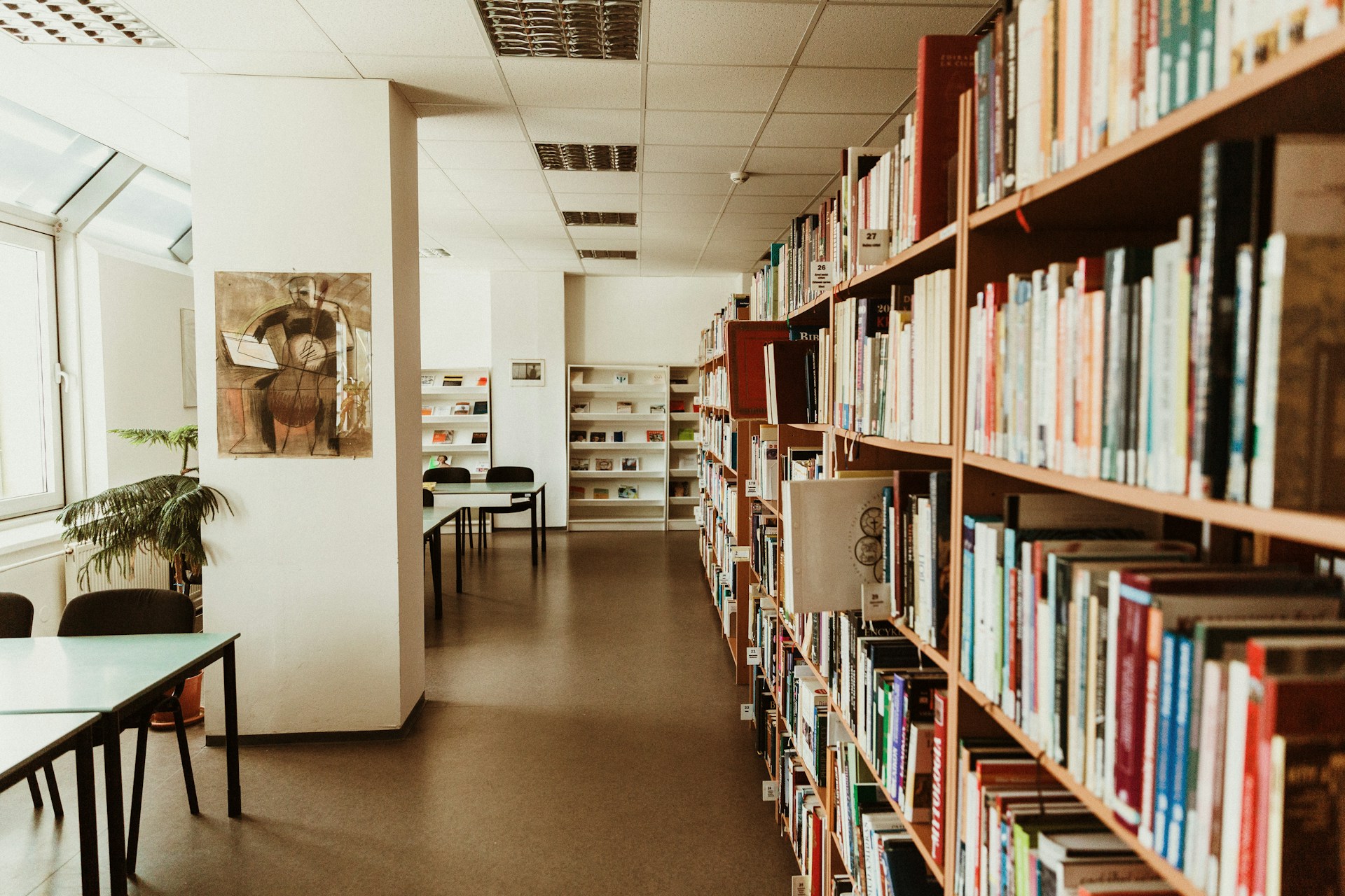 Half Price Books in Citrus Heights: Your Cozy Spot for Books and More
