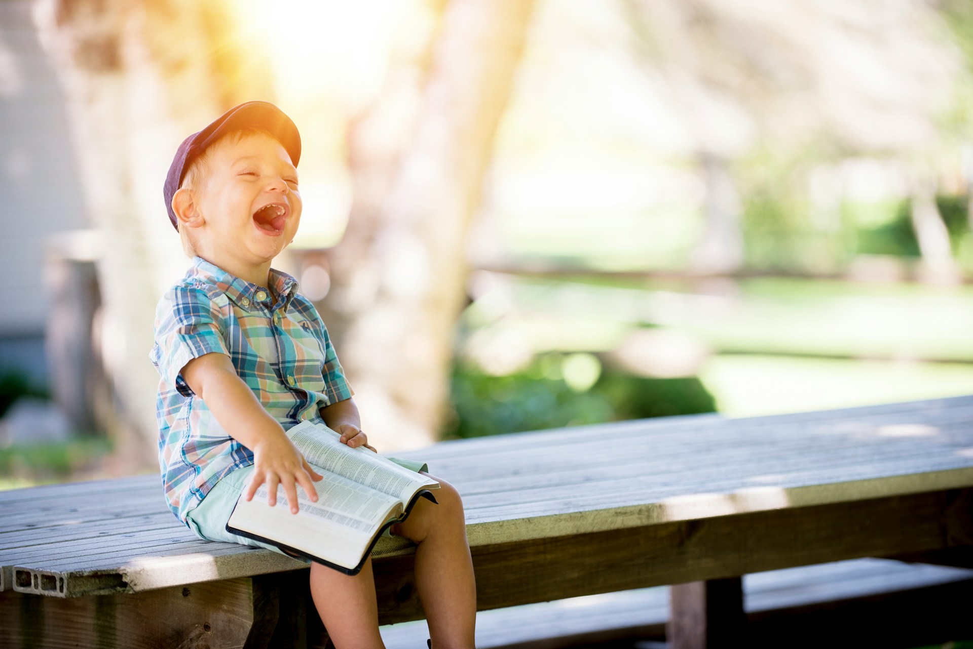 Summer Reading Programs 2025 in Citrus Heights: Your Guide to a Brilliant Book-Filled Summer